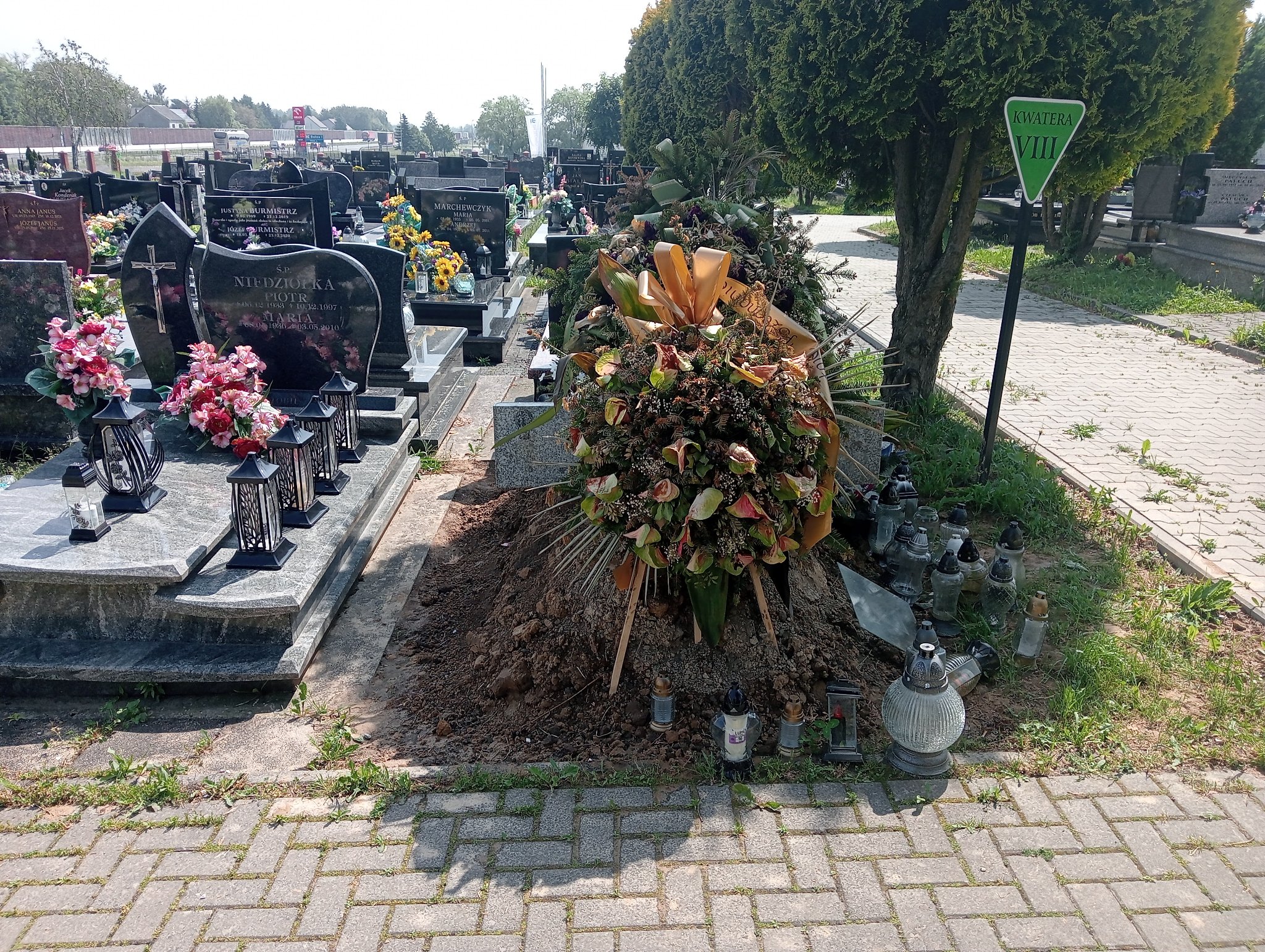 Grób Adam Ciężarek